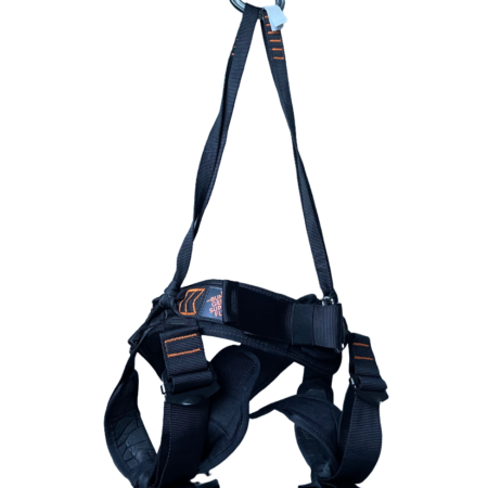 bungee harness
